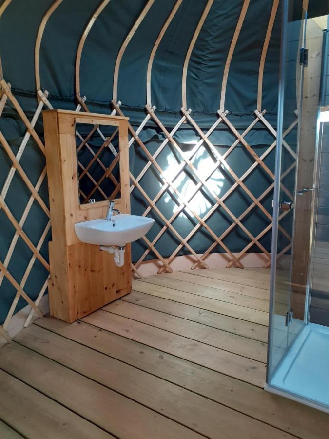 Wild Meadow, Lodge Farm, East Raynham فيكينهام المظهر الخارجي الصورة