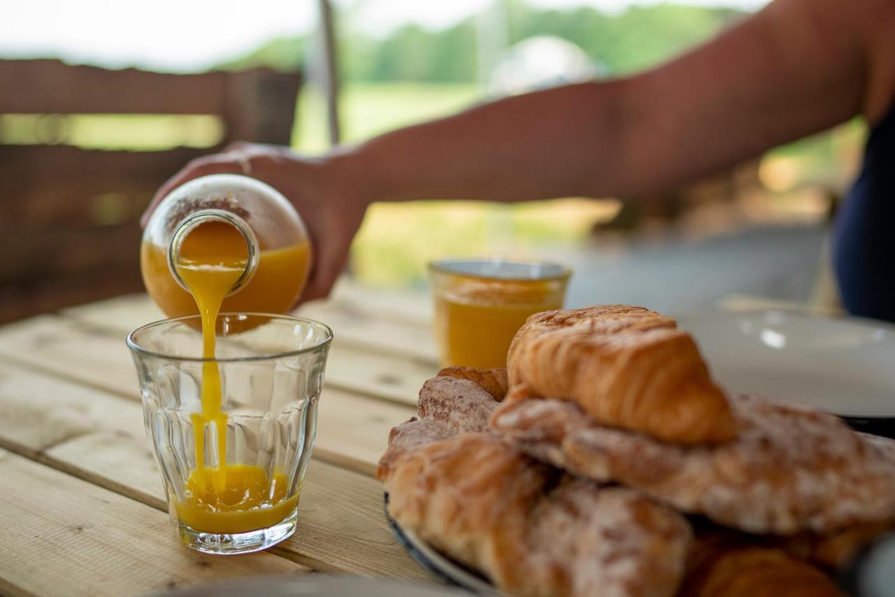 Wild Meadow, Lodge Farm, East Raynham فيكينهام المظهر الخارجي الصورة