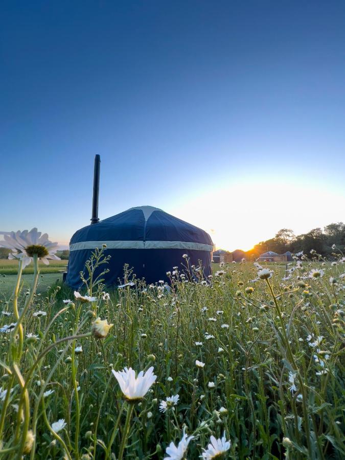 Wild Meadow, Lodge Farm, East Raynham فيكينهام المظهر الخارجي الصورة