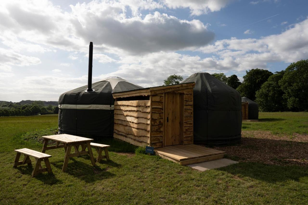 Wild Meadow, Lodge Farm, East Raynham فيكينهام المظهر الخارجي الصورة