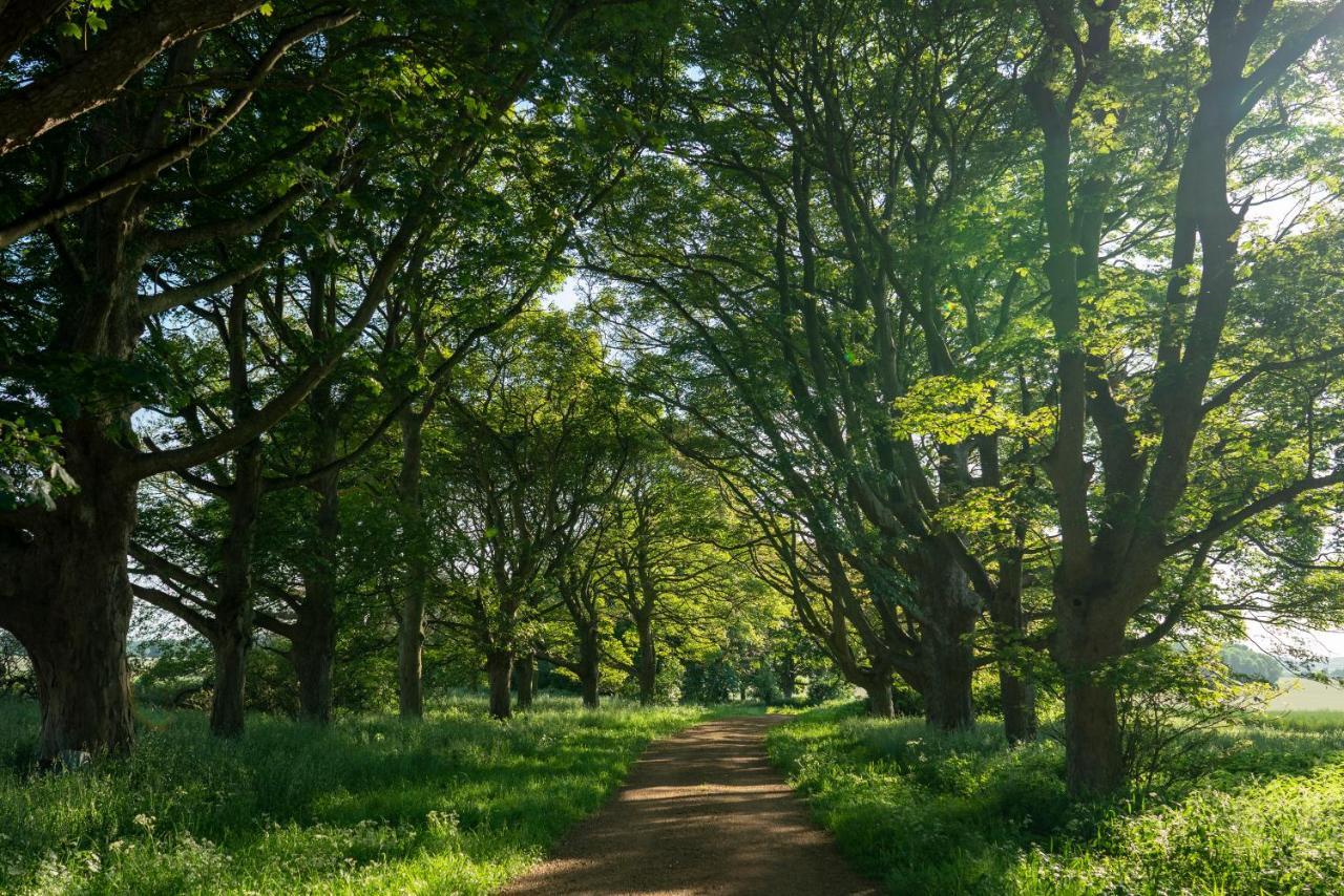 Wild Meadow, Lodge Farm, East Raynham فيكينهام المظهر الخارجي الصورة