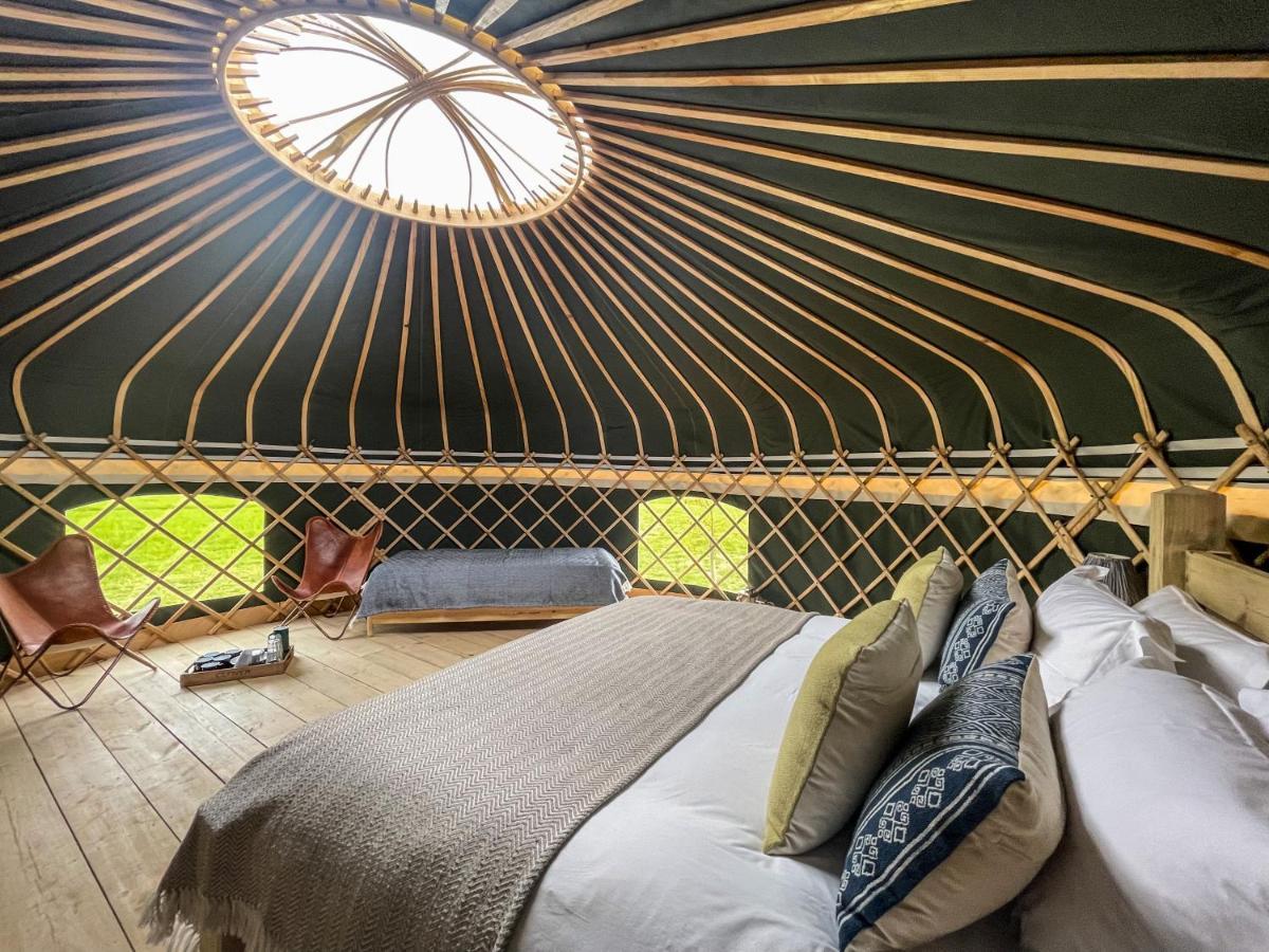 Wild Meadow, Lodge Farm, East Raynham فيكينهام المظهر الخارجي الصورة