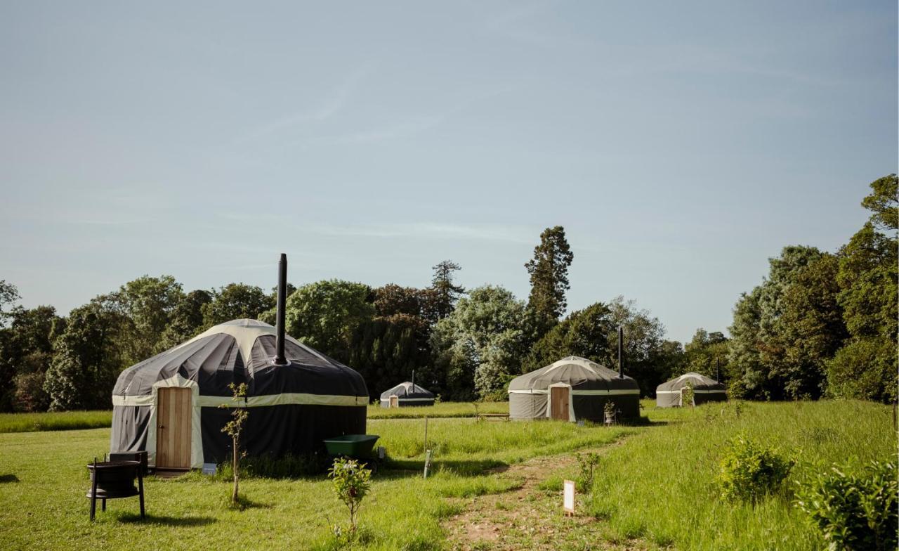 Wild Meadow, Lodge Farm, East Raynham فيكينهام المظهر الخارجي الصورة