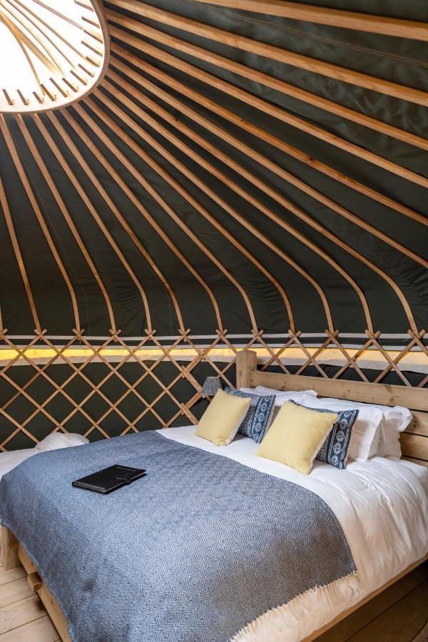 Wild Meadow, Lodge Farm, East Raynham فيكينهام المظهر الخارجي الصورة