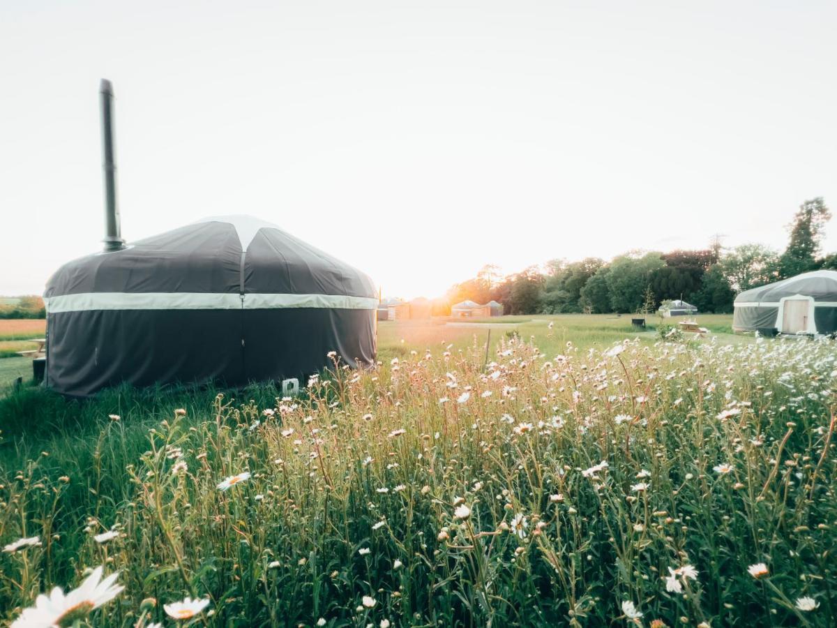 Wild Meadow, Lodge Farm, East Raynham فيكينهام المظهر الخارجي الصورة